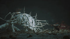 PS5 Black Myth: Wukong PEGI