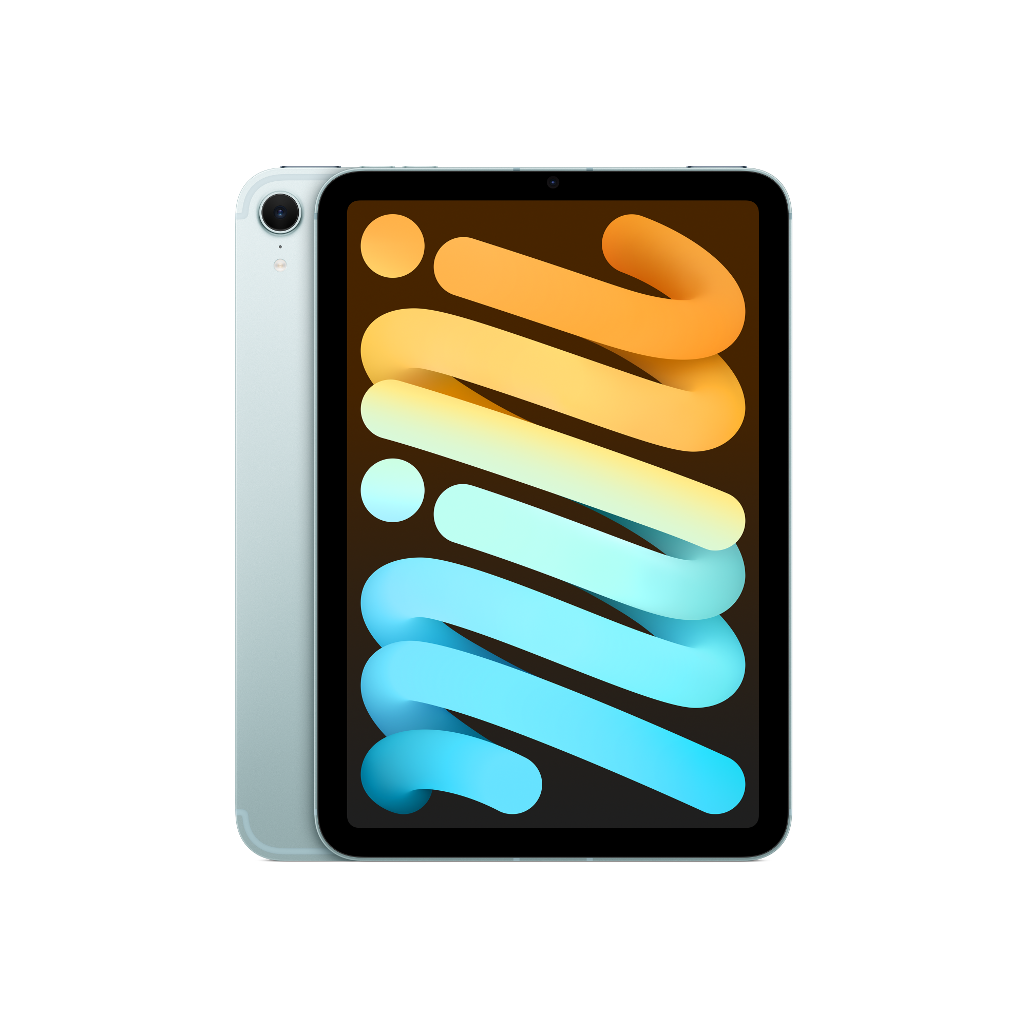 iPad mini Blue Wi-Fi + Cellular