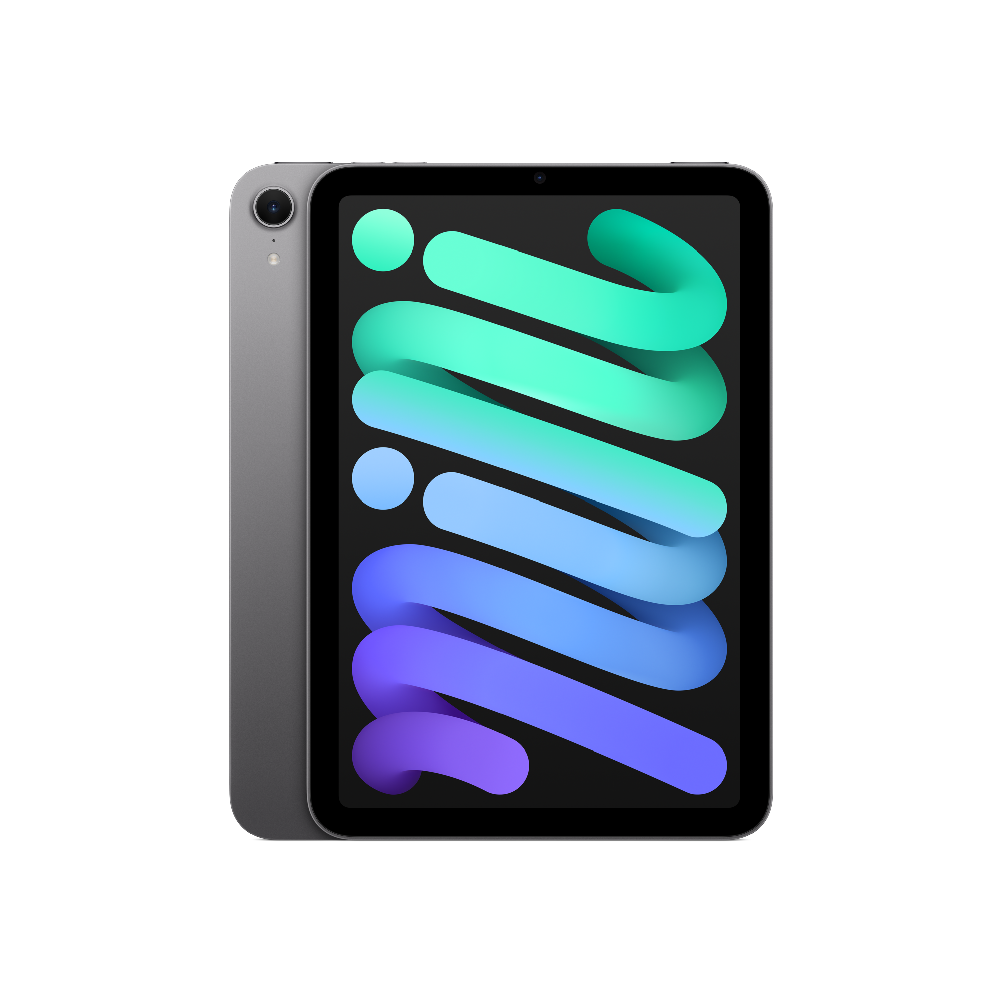 iPad mini Space Grey