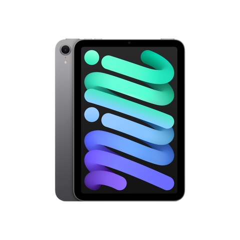 iPad mini Space Grey